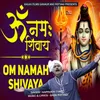 Om Namah Shivaya